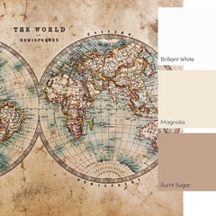 Hemisphere Map Full Wall Mural in Earthy Tones