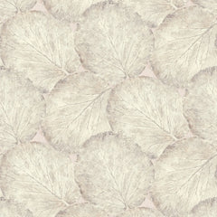 Beech Leaf Wallpaper in Blush