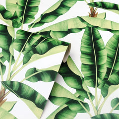 Musa Wallpaper in Green