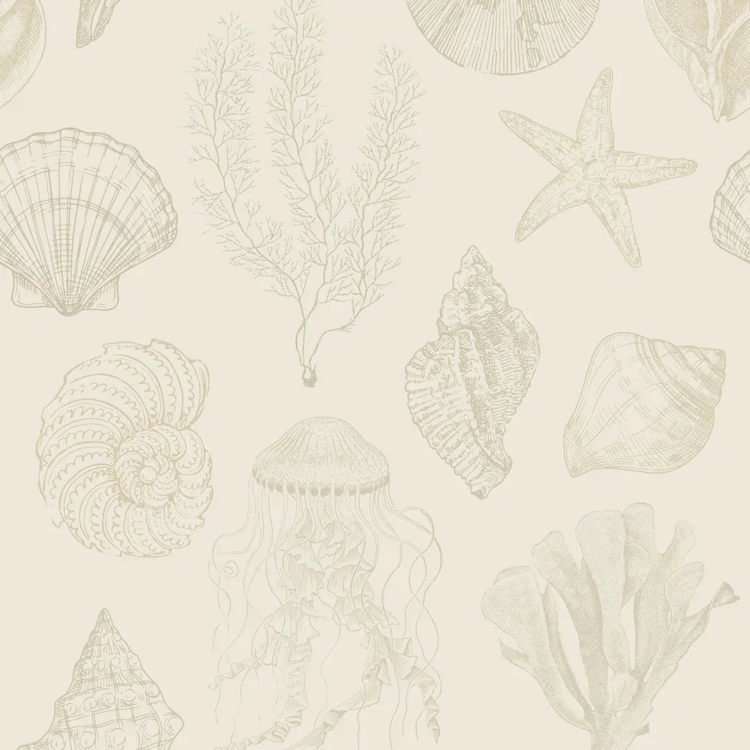 Summer Seashells Wallpaper in Neutrals