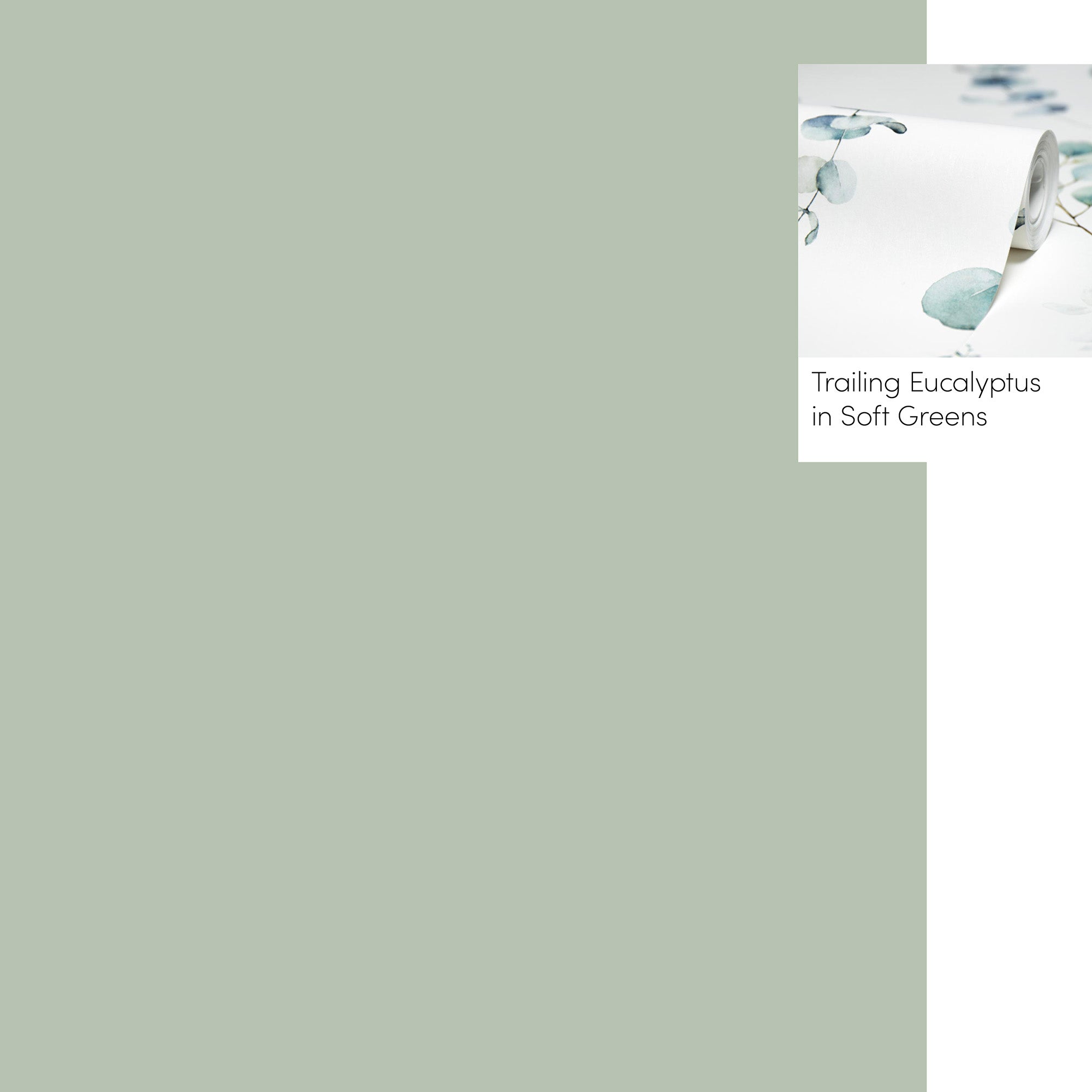 Natural Sage Matt Emulsion Paint - 2.5L
