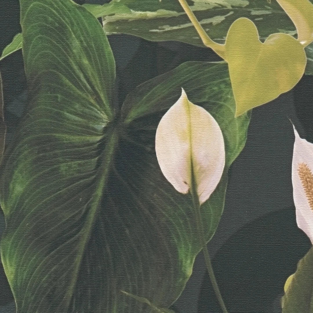 Indoor Oasis Wallpaper in Green