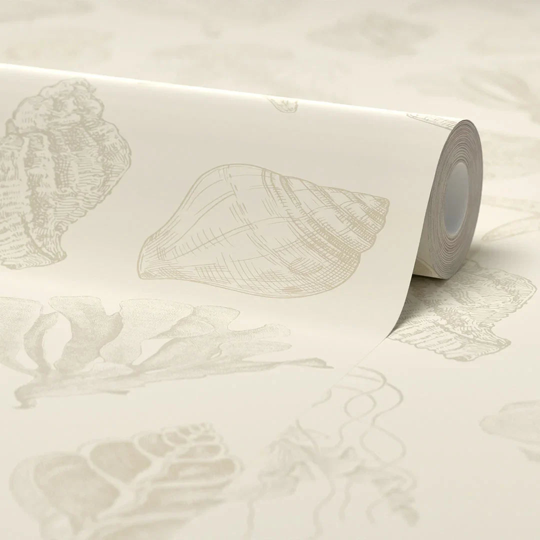 Summer Seashells Wallpaper in Neutrals