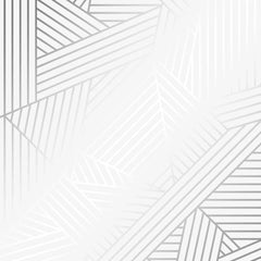 Wingate Geometric Wallpaper in Grey and Silver