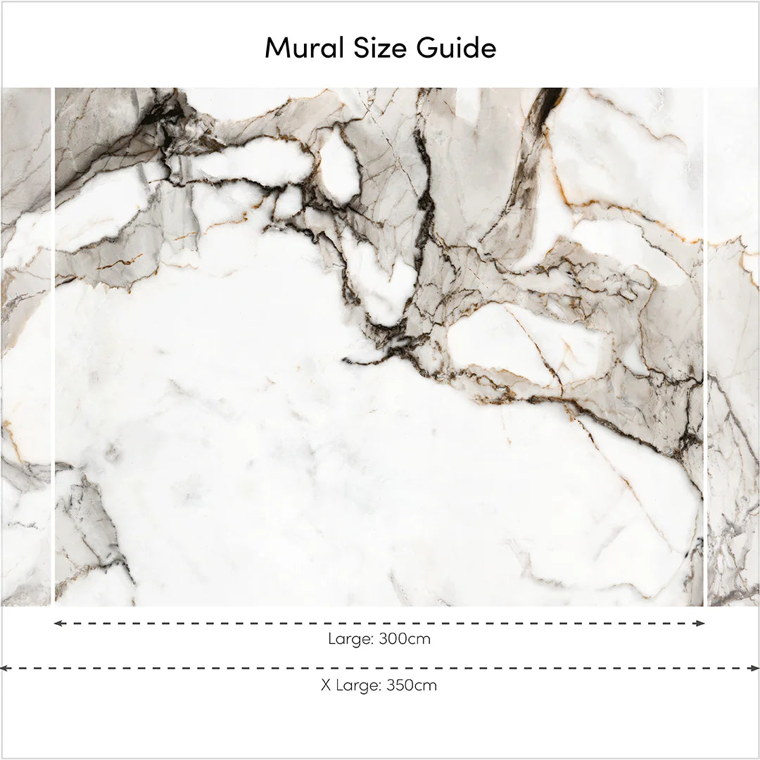 Statuario Marble Full Wall Mural in Grey Tones